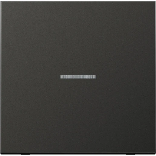 Jung LS range Home stuurafdekking enkelvoudig Mat antraciet RAL 7016 BTAL17101AN