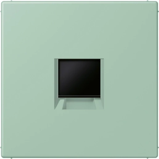 Jung LS range Afdekking centraalplaat AMP Radiall LC32041 Modular-Jack 1 connector Zonder label LC1969-1WE217