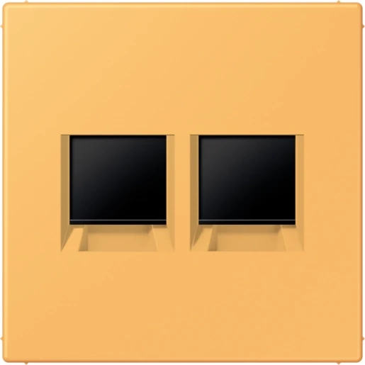 Jung LS range Afdekking centraalplaat AMP Radiall LC4320L Modular-Jack 2 connectoren Zonder label LC1969-2WE254