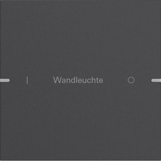 Gira Wippenset 1-v indiv. tastsens.4 TS4 antracit(gel.)