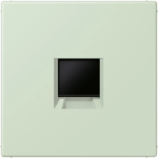 Jung LS range Afdekking centraalplaat AMP Radiall LC32042 Modular-Jack 1 connector Zonder label LC1969-1WE218