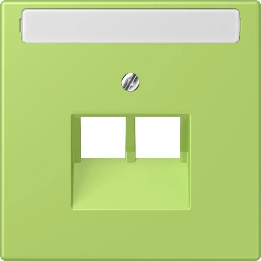 Jung LS range Afdekking centraalplaat LC32052 UAE/IAE 2 connectoren Met label LC969-2NAUA221