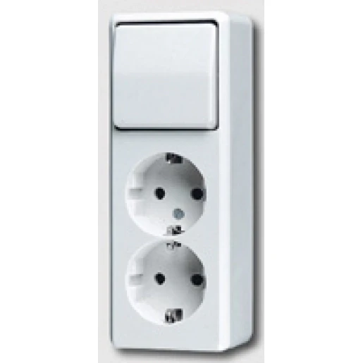 Jung AP 600 combinatie wandcontactdoos serie + ra opbouw Enkel drukcontact wit IP20 625A