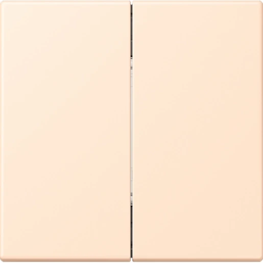 Jung LS range Friends of Hue wandzender 4-kanalen FOHLC995238