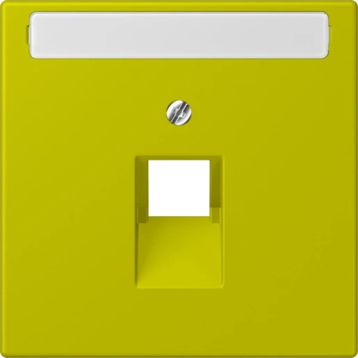 Jung LS range Afdekking centraalplaat 4320F UAE/IAE 1 connector Met label groen LC969-1NAUA249