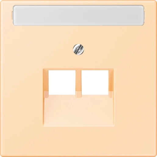 Jung LS range Afdekking centraalplaat LC32060 UAE/IAE 2 connectoren Met label LC969-2NAUA223
