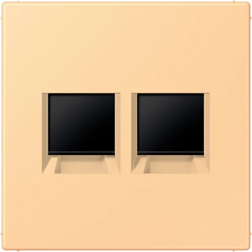 Jung LS range Afdekking centraalplaat AMP Radiall LC4320P Modular-Jack 2 connectoren Zonder label LC1969-2WE258