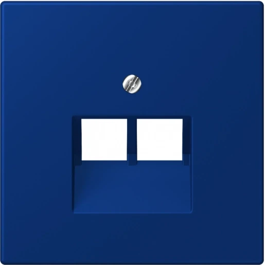 Jung LS range Afdekking centraalplaat 4320T UAE/IAE 2 connectoren Zonder label LC969-2UA261