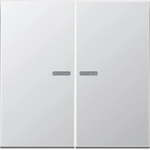 Jung LS range Home stuurafdekking 2-voudig Mat aluminium RAL 9006 BTAL17102