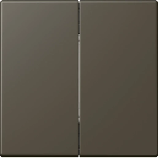 Jung LS range Friends of Hue wandzender 4-kanalen FOHLC995241