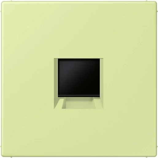 Jung LS range Afdekking centraalplaat AMP Radiall LC32053 Modular-Jack 1 connector Zonder label LC1969-1WE222