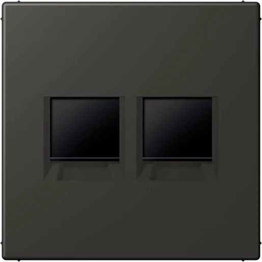 Jung LS range Afdekking centraalplaat AMP Radiall LC4320R Modular-Jack 2 connectoren Zonder label LC1969-2WE259