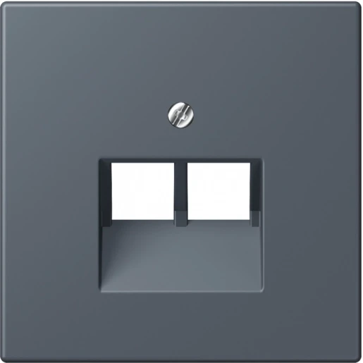 Jung LS range Afdekking centraalplaat 4320U UAE/IAE 2 connectoren Zonder label LC969-2UA262