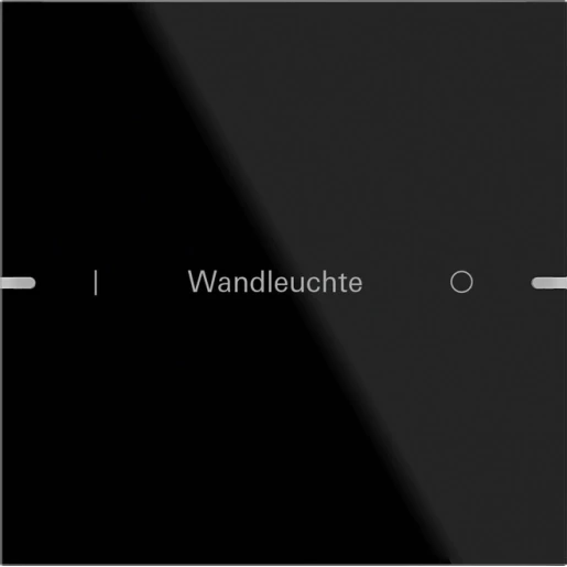 Gira Wippenset 1-v indiv. tastsens.4 TS4 gl.zwart