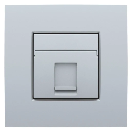 Niko Intense Centraalplaat data RJ Modular-Jack Centraalplaat 1 connector Zonder label chroom 121-65100