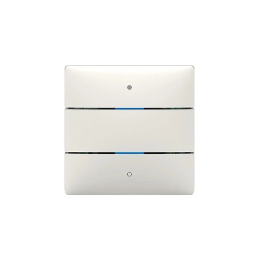Theben KNX-iON Tastersensor KNX 2-voudig wit met tekstv inbouw IP20 RAL 9010 4969232