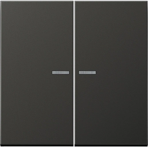 Jung LS range Home stuurafdekking 2-voudig Mat antraciet RAL 7016 BTAL17102AN