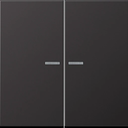 Jung LS range home stuurafdekking dark 2-voudig Mat aluminium BTAL17102D