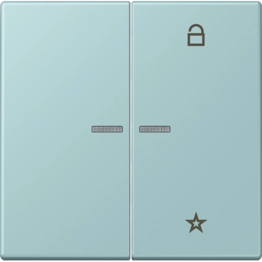 Jung LS range stuurafdekking universeel lc32033 2-voudig Mat FMLC1701214