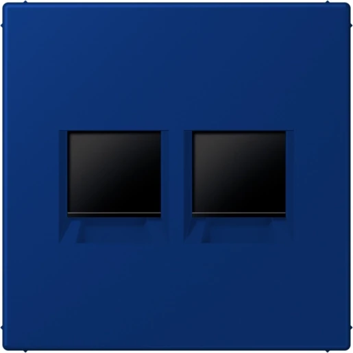 Jung LS range Afdekking centraalplaat AMP Radiall LC4320T Modular-Jack 2 connectoren Zonder label LC1969-2WE261