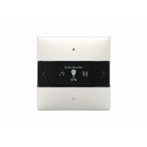 Theben KNX-iON Ruimtecontroller geïntegreerde temperatuurregelaar KNX 2-voudig wit met tekstv inbouw IP20 RAL 9010 4969238