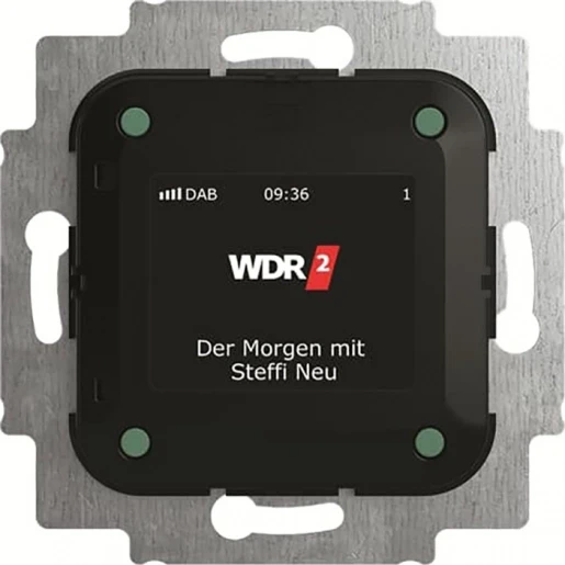 ABB Busch-Jaeger AudioWorld digitale radio Inbouw DAB+ FM ontvanger 2CKA008200A0275