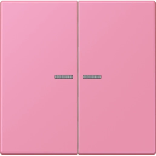Jung LS range Home stuurafdekking LC4320C 2-voudig Mat BTLC17102246