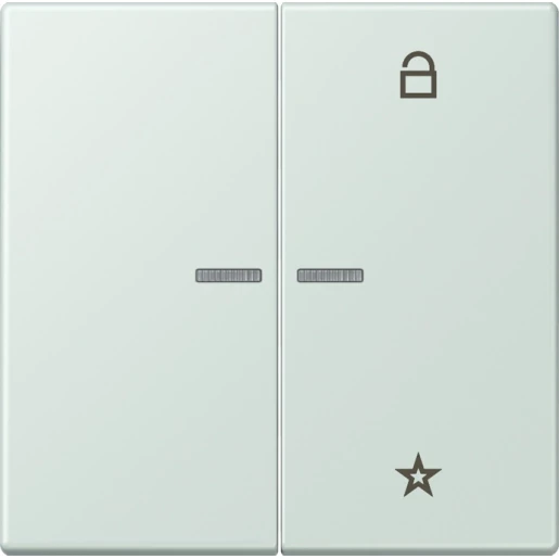 Jung LS range stuurafdekking universeel lc32034 2-voudig Mat FMLC1701215