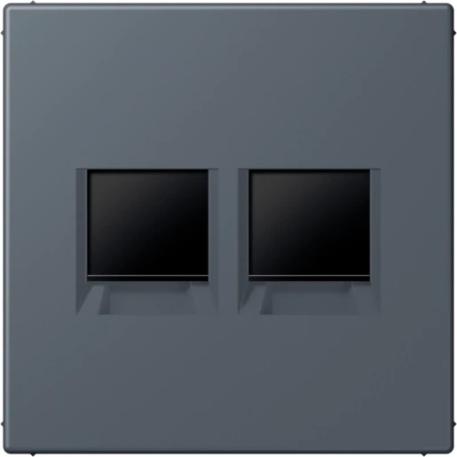 Jung LS range Afdekking centraalplaat AMP Radiall LC4320U Modular-Jack 2 connectoren Zonder label LC1969-2WE262