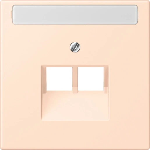 Jung LS range Afdekking centraalplaat LC32091 UAE/IAE 2 connectoren Met label LC969-2NAUA228