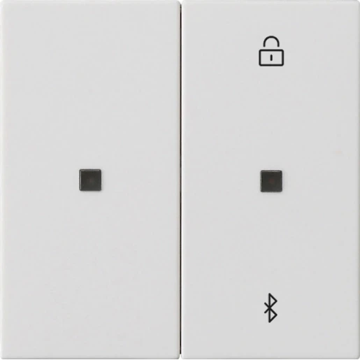 Gira System 55 s3000 jaloezie- en schakelklok bluetooth zuiver wit enkelvoudig Mat wit RAL 9010 538127
