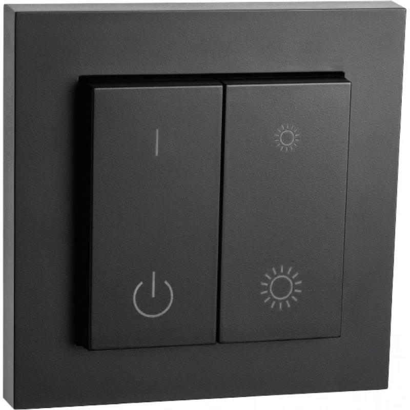 SG Lighting Connect Switch hand-/wandzender frontpaneel zwart RAL 9004 820534