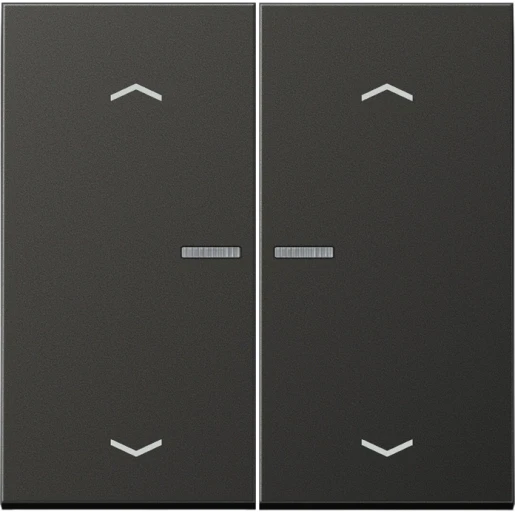 Jung LS range Home stuurafdekking pijl 2-voudig Mat antraciet RAL 7016 BTAL17102PAN