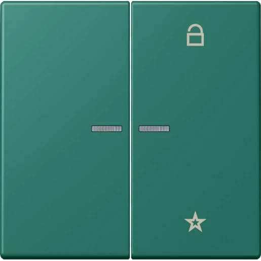 Jung LS range stuurafdekking universeel lc32040 2-voudig Mat FMLC1701216