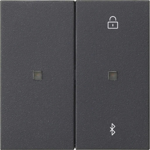 Gira System 55 s3000 jaloezie- en schakelklok bluetooth enkelvoudig antraciet 538128