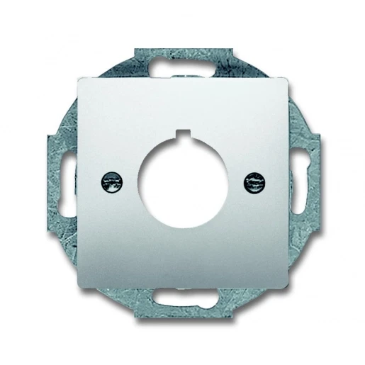 ABB Busch-Jaeger centraalplaat boring Bedieningselement 1 connector Zonder label RVS 2CKA001724A4270