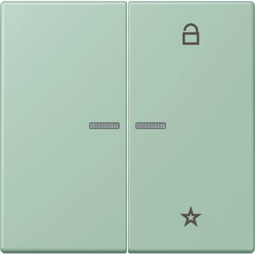 Jung LS range stuurafdekking universeel lc32041 2-voudig Mat FMLC1701217