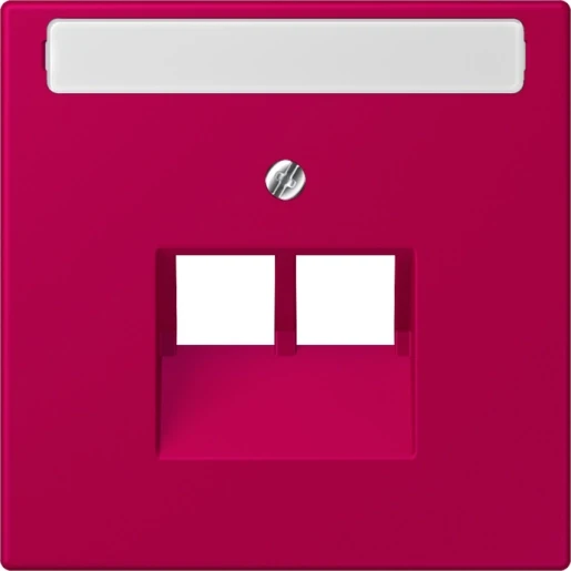 Jung LS range Afdekking centraalplaat LC32101 UAE/IAE 2 connectoren Met label LC969-2NAUA230