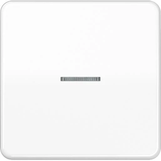 Jung CD range tastafdekking standaard alpine wit enkelvoudig Glanzend wit RAL 9016 FMCD1700WW