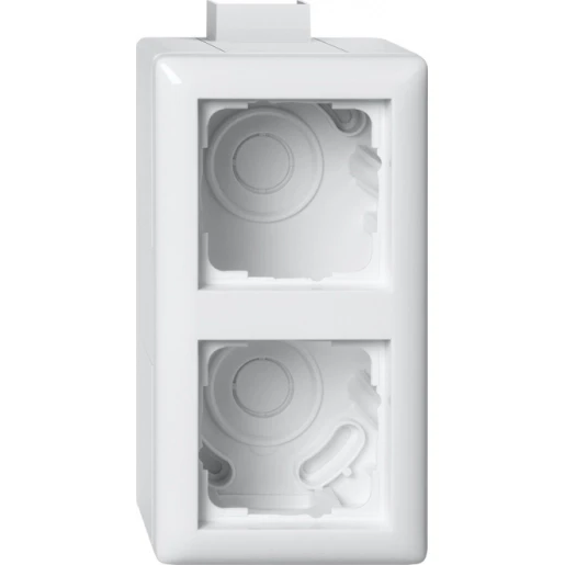 Gira Standaard 55 Opbouwbehuizing + afdekraam 2-voudig wit Horizontaal en verticaal 105203