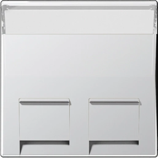 Jung A range afdekking a500 Centraalplaat 2 connectoren Met label aluminium A569-30BFPLAL