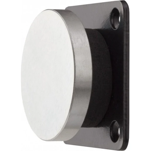 Maasland Security ankerpl 20gr voor deurmag