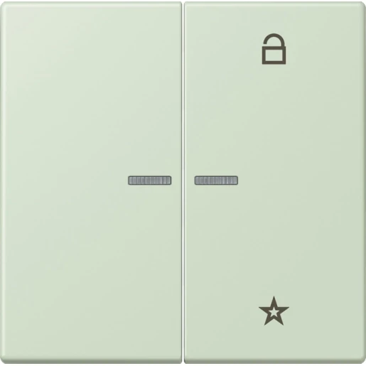 Jung LS range stuurafdekking universeel lc32042 2-voudig Mat FMLC1701218