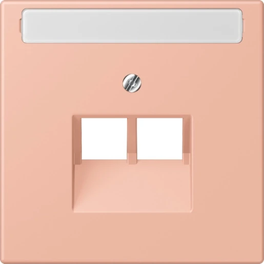 Jung LS range Afdekking centraalplaat LC32102 UAE/IAE 2 connectoren Met label LC969-2NAUA231