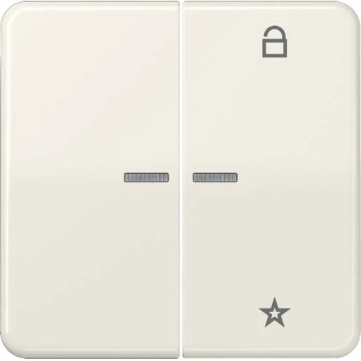 Jung CD range tastafdekking cd500 2-voudig Glanzend wit RAL 1013 FMCD1701