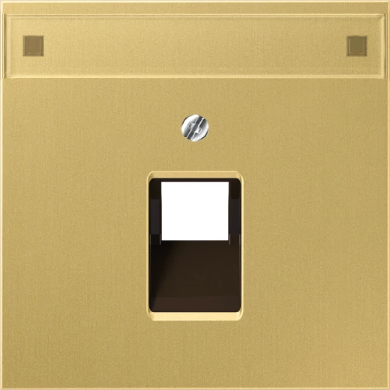 Jung LS range afdekking klassiek UAE/IAE 1 connector MetaalMet label messing ME2969-1NAUAC