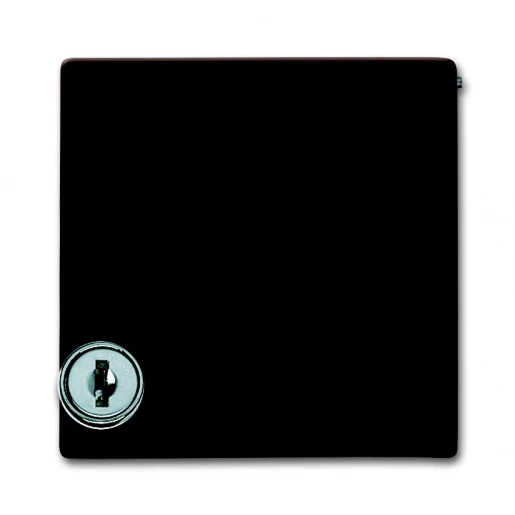 ABB Busch-Jaeger centraalplaat kd + slot verloop voor si ip44 70x49x70mm klapdeksel bruin RAL 8017 2CKA001710A3788