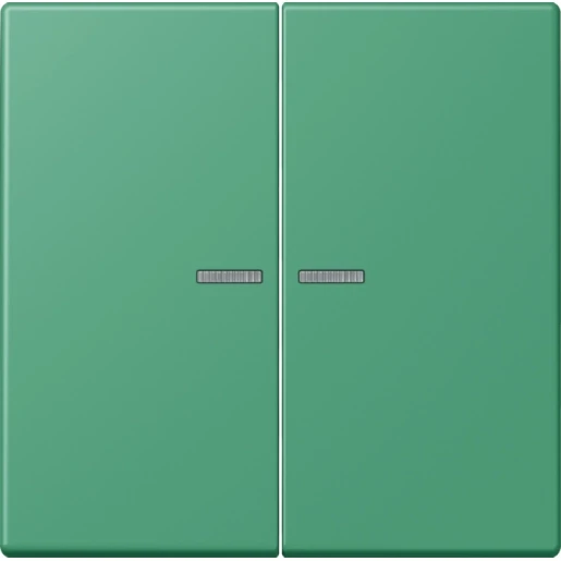 Jung LS range Home stuurafdekking LC4320G 2-voudig Mat BTLC17102250