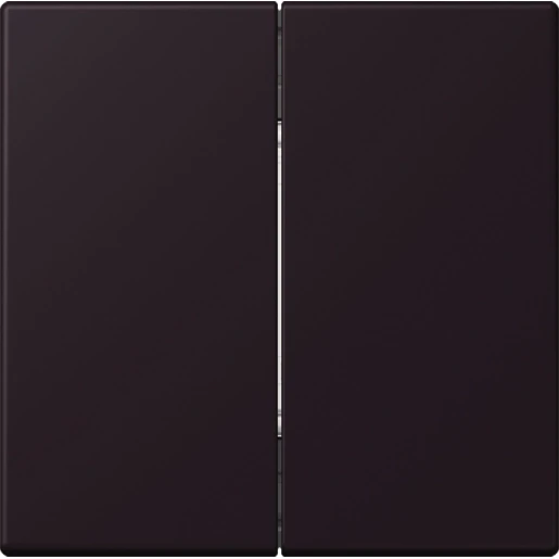 Jung LS range Friends of Hue wandzender 4-kanalen FOHLC995248