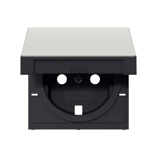 Gira System 55 afdekking wandcontactdoos ra kd edelstaal 4922600
